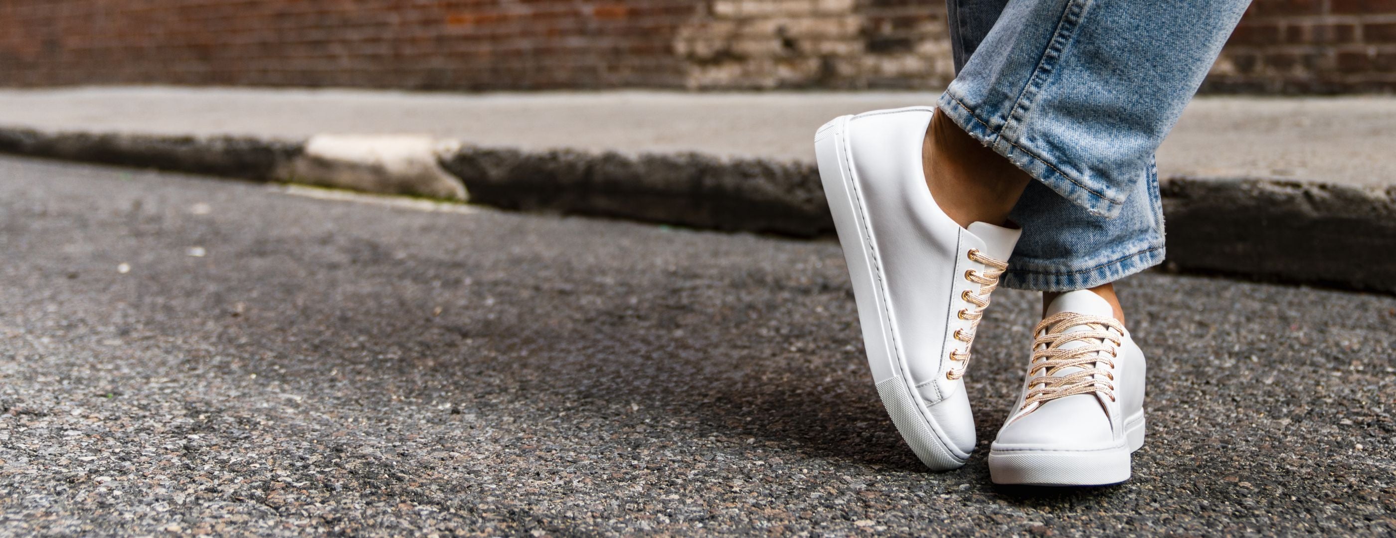 Premier Low Top