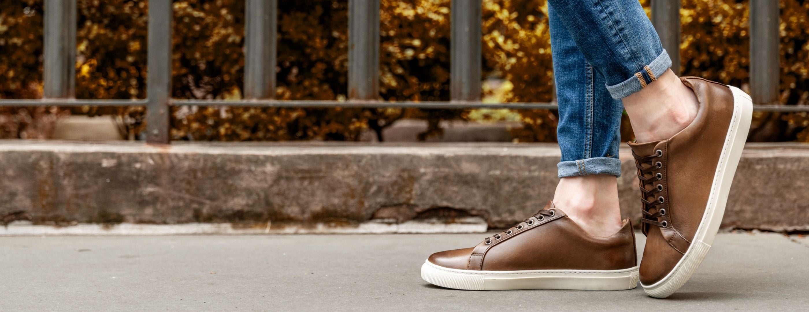 Premier Low-Top
