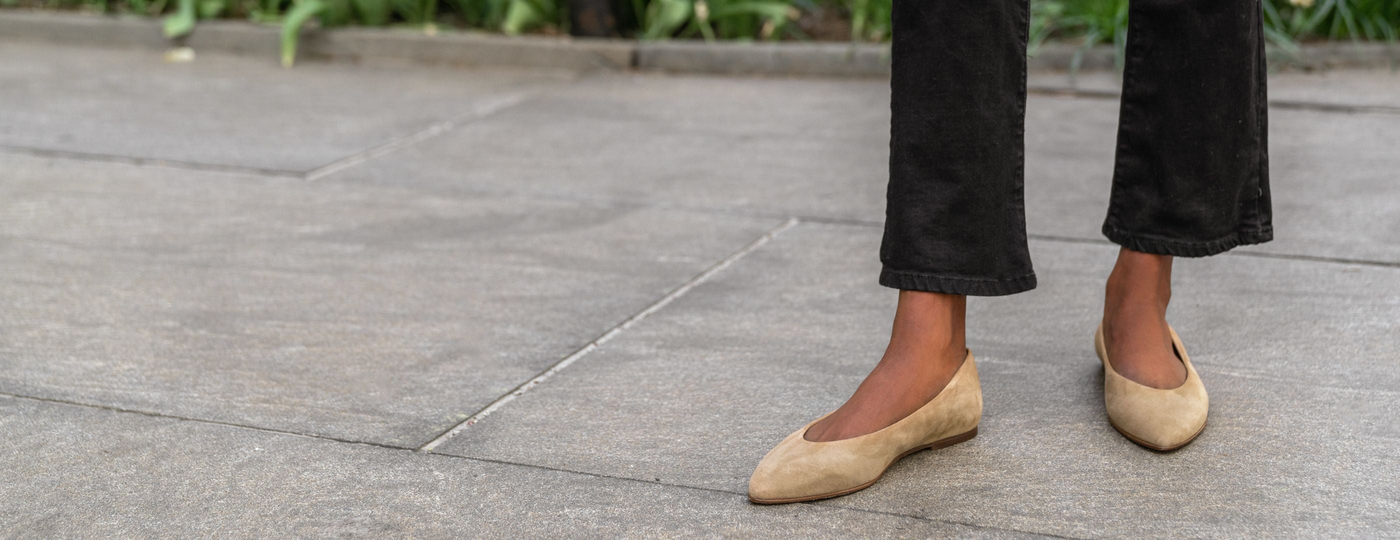 Viva Ballerinas